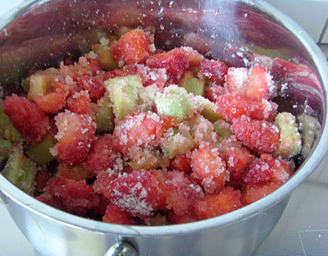 rezept-erdbeer-rhabarber-einmachen